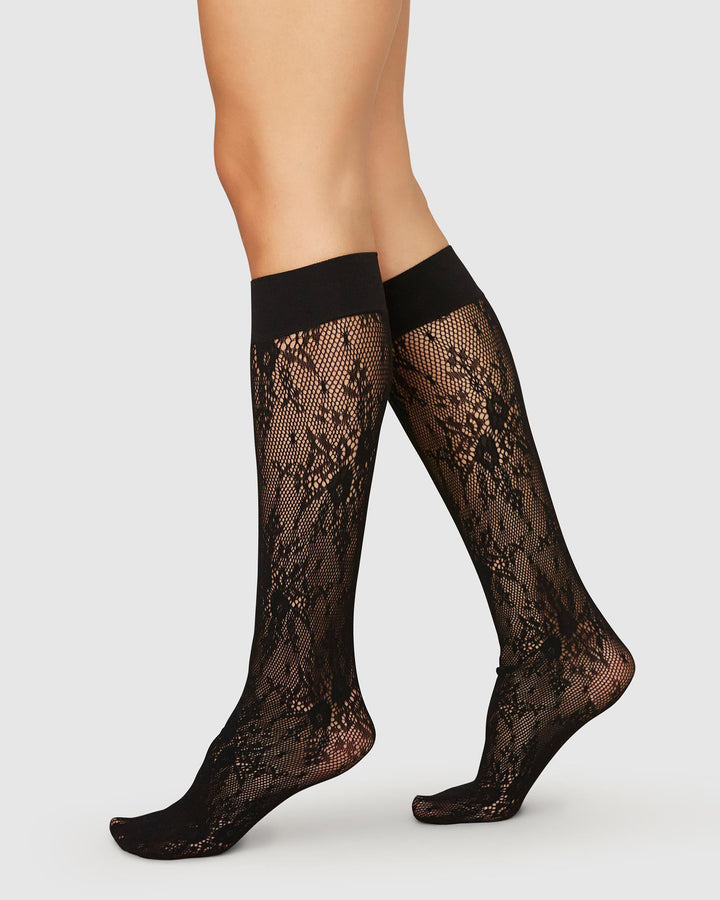 Rosa Lace Knee-Highs Black