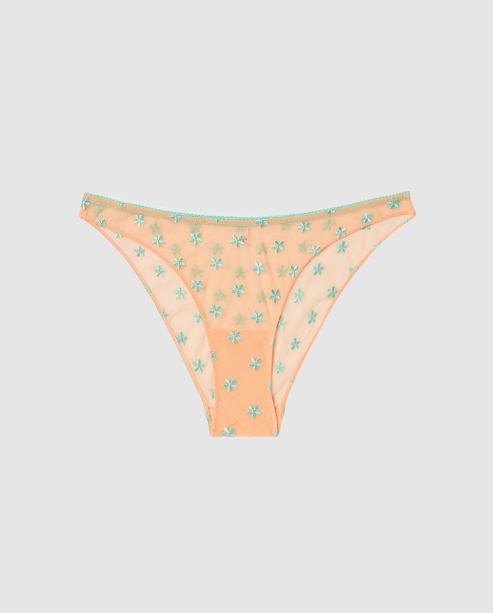 Mesh Bikini Briefs Peach/Turquoise